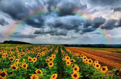 Storms & Rainbows 🌈